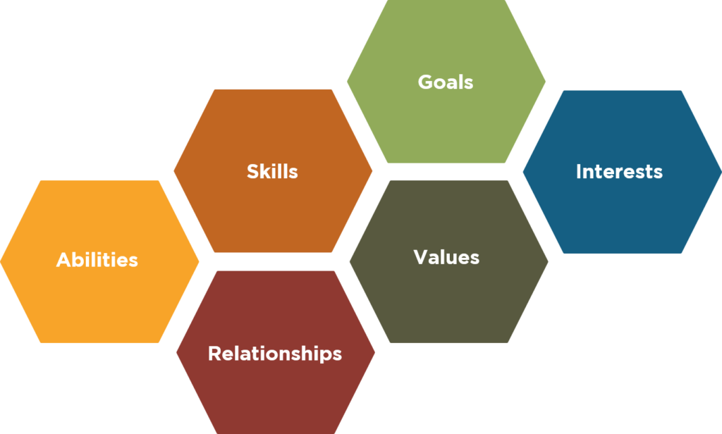 career hexagon infographic that contains: abilities, skills, relationships, goals, values, interests