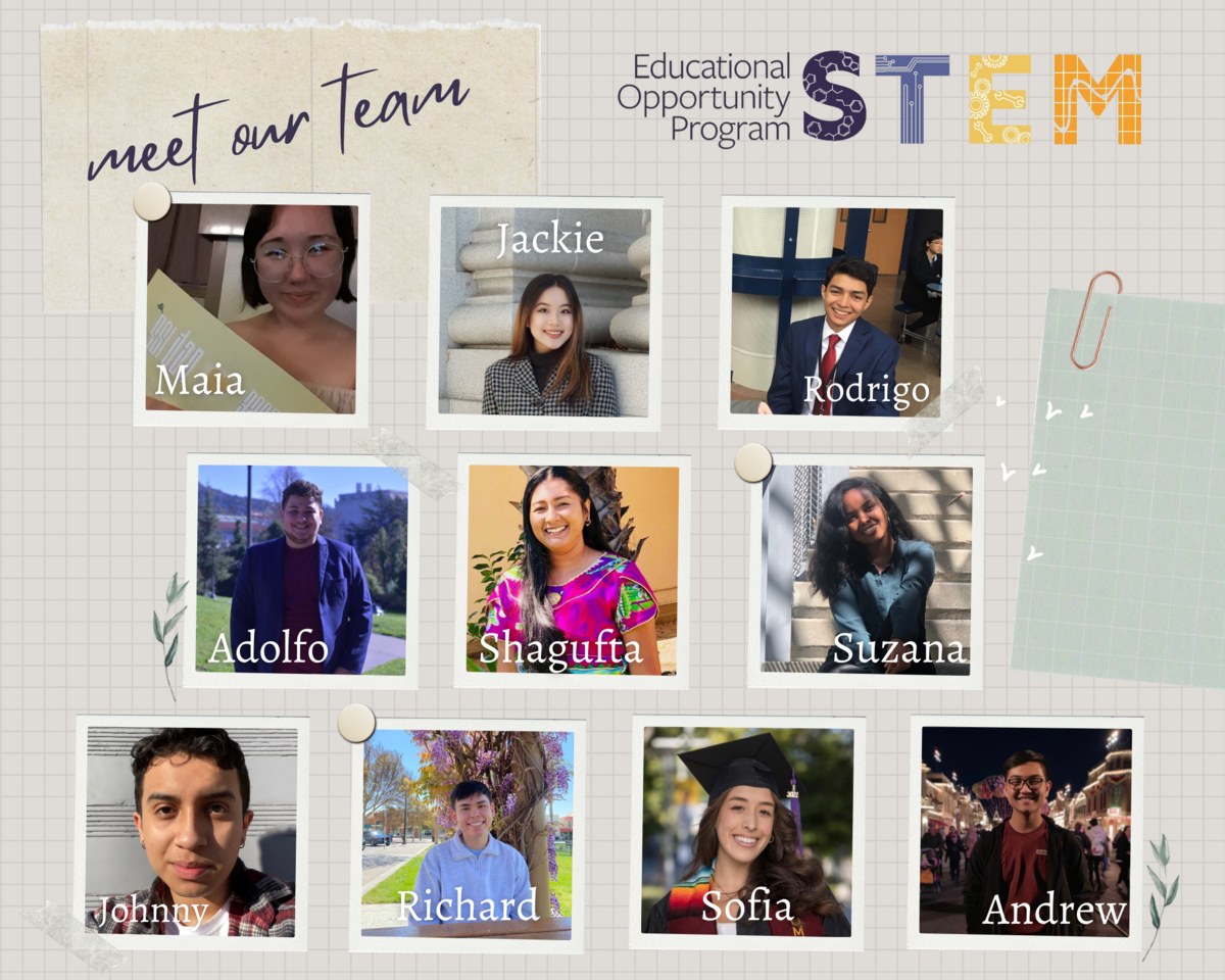 Grid of current EOP STEM student staff